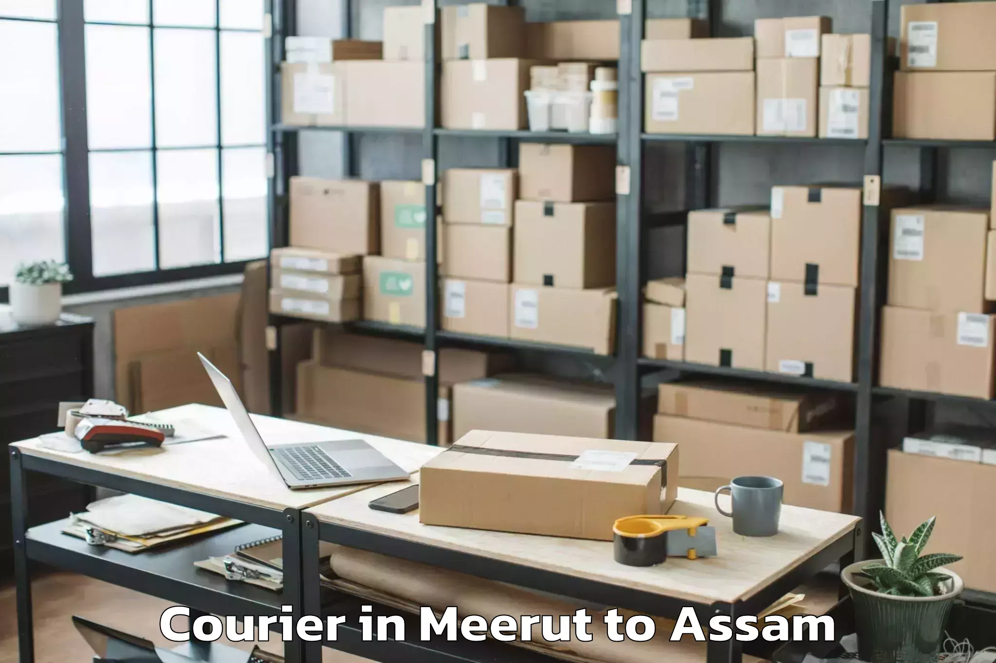 Hassle-Free Meerut to Khoirabari Courier